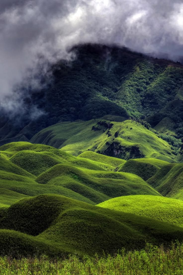 Places to Visit in Nagaland - Dzukou Valley in Kohima/Senapati